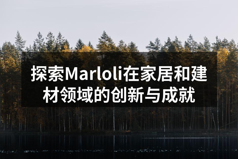 Marloli新型环保水泥产品展示