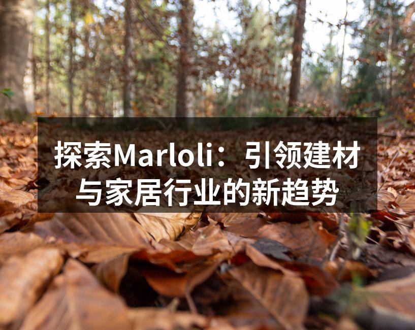 Marloli创新的环保家具系列
